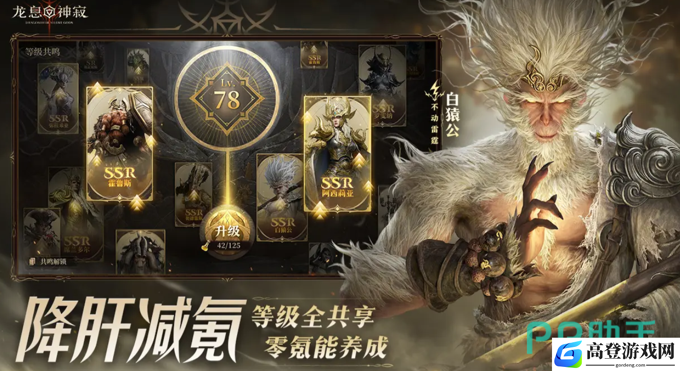 龙息神寂公测时间一览 龙息神寂公测时间介绍_龙息神寂