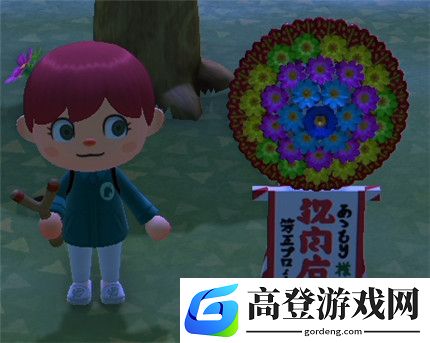 动物森友会花圈怎么获得