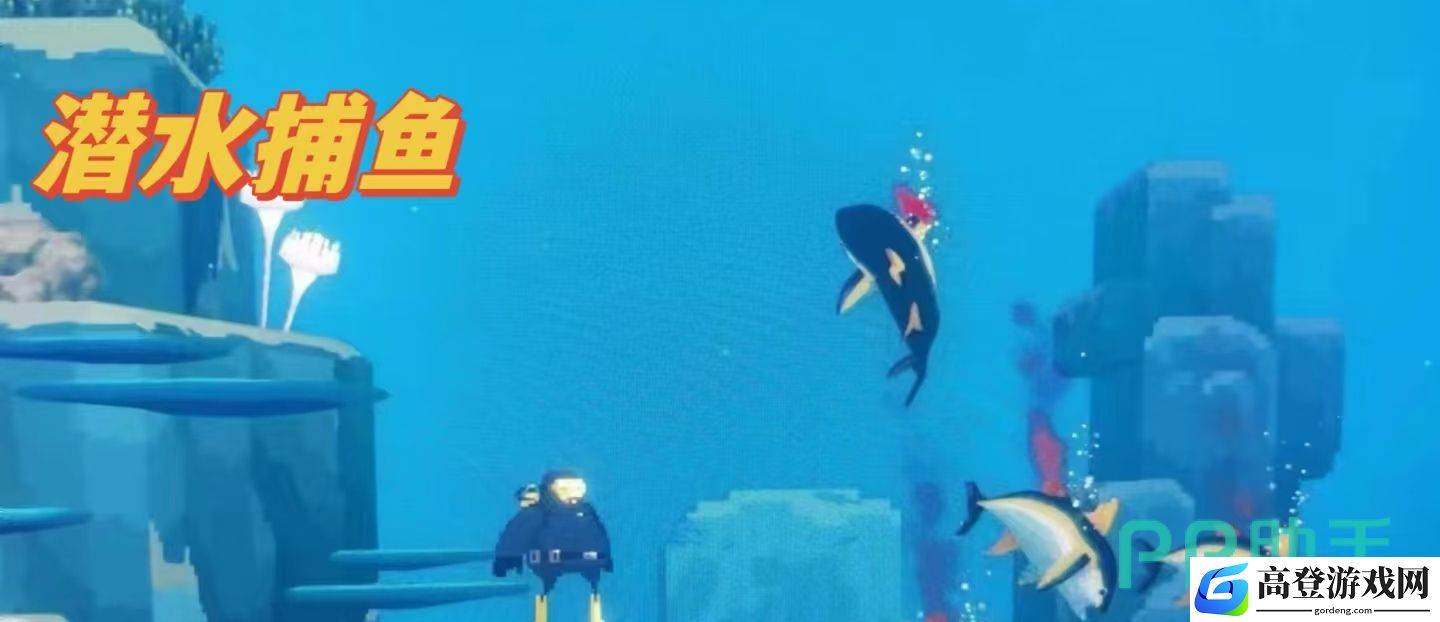 潜水员戴夫的故事 潜水员戴夫手游玩法介绍_潜水员戴夫