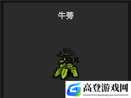 华夏人生食物有哪些
