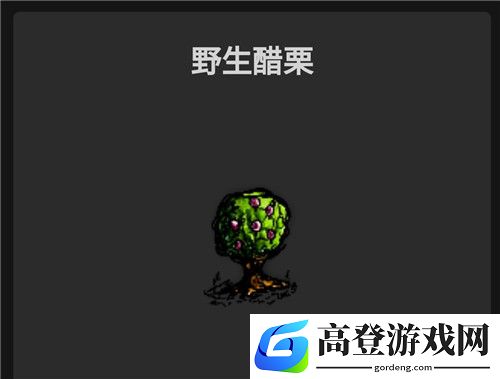 华夏人生食物有哪些