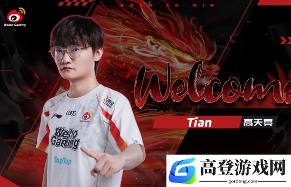 Tian在TES真的尽力吗？墙倒众人推