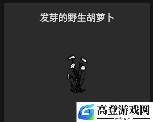华夏人生食物有哪些