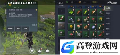 妄想山海朝阳花在哪里 向日葵分布采集位置