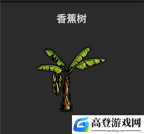 华夏人生食物有哪些
