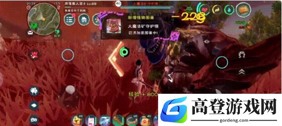 创造与魔法全奇遇生物饲料一览