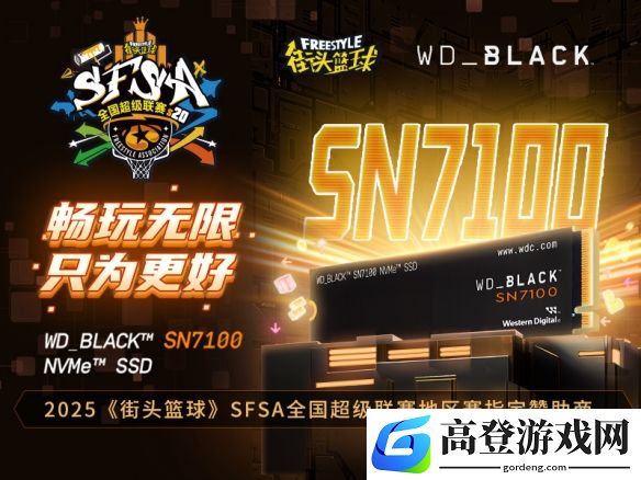 畅玩无限 WD_BLACK助力《街头篮球》SFSA全国超级联赛
