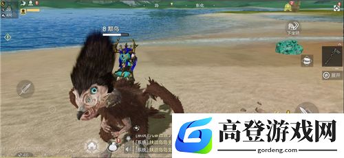 妄想山海颙鸟在哪抓 颙鸟在哪里