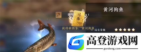 天涯明月刀手游鱼王怎么钓