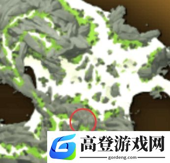 盗贼之海最高的树在哪