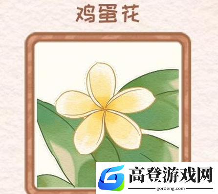 花店物语鸡蛋花怎么获得 鸡蛋花获取方法一览