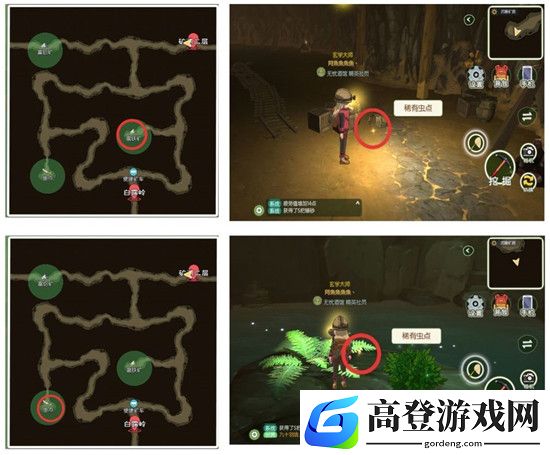 小森生活稀有虫点分布 稀有虫点多久刷新