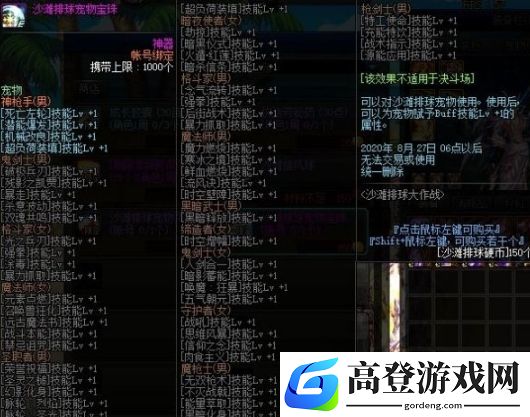 DNF手游沙滩排球宠物属性介绍 沙滩排球宠物怎么样